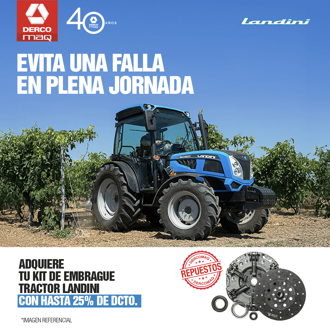 Campaña 15